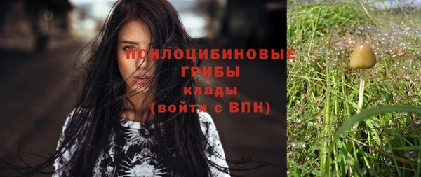 мяу мяу мука Балахна