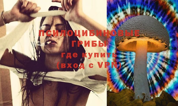 прущая мука Баксан