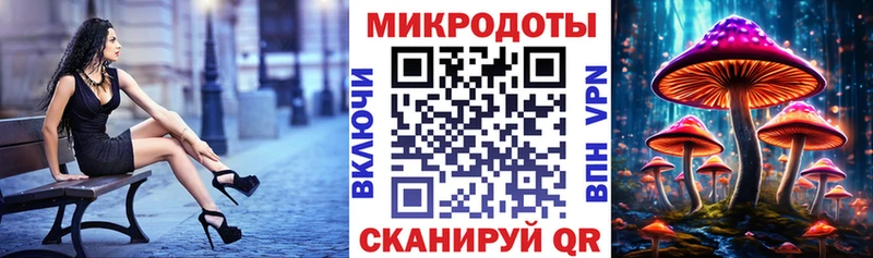 нарко площадка формула  Судак  Псилоцибиновые грибы MAGIC MUSHROOMS  цена   OMG  